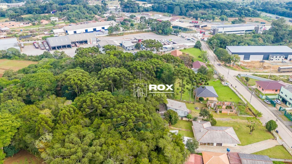 Terreno, 8000 m² - Foto 8