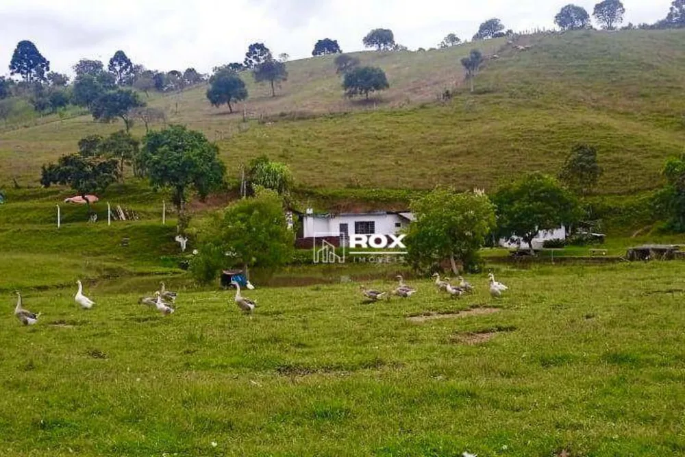 Chácara, 6 quartos, 19 hectares - Foto 5
