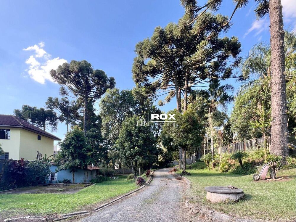 Casa, 4 quartos, 592 m² - Foto 8