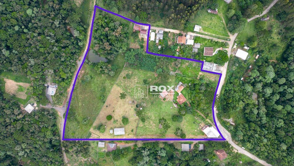 Chácara, 10 quartos, 3 hectares - Foto 3