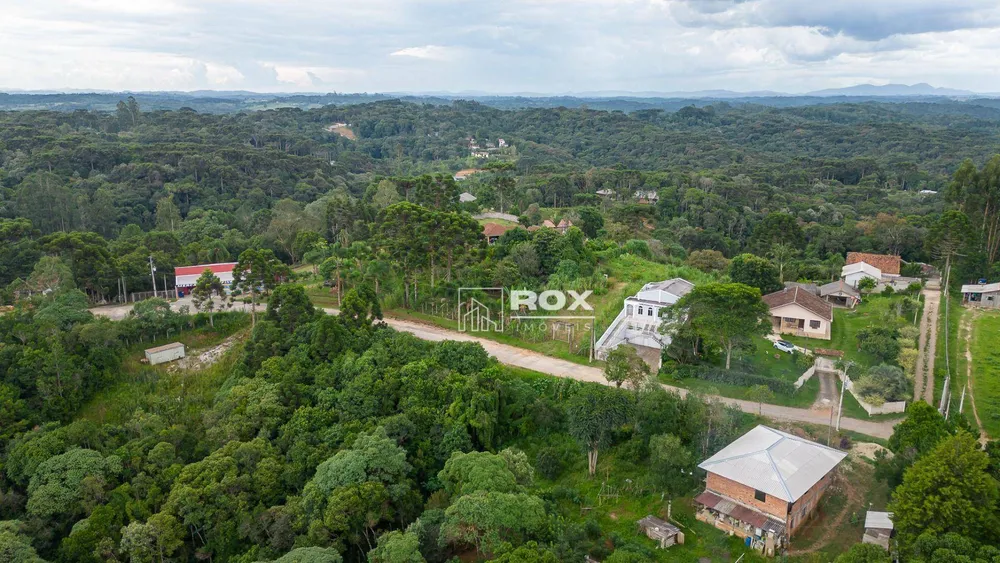 Chácara, 10 quartos, 3 hectares - Foto 4