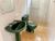Apartamento, 2 quartos, 71 m² - Foto 13
