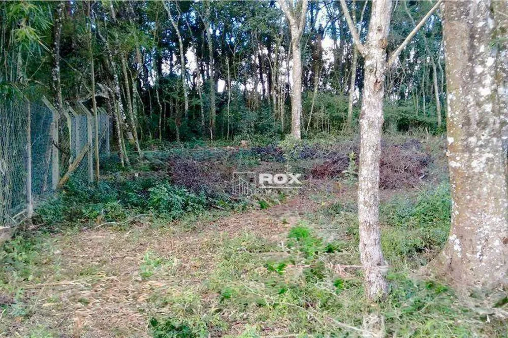Terreno, 495 m² - Foto 5