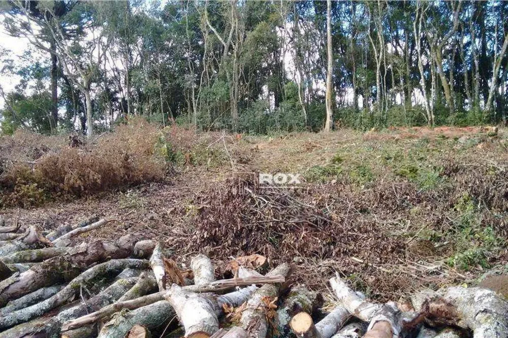 Terreno, 495 m² - Foto 6