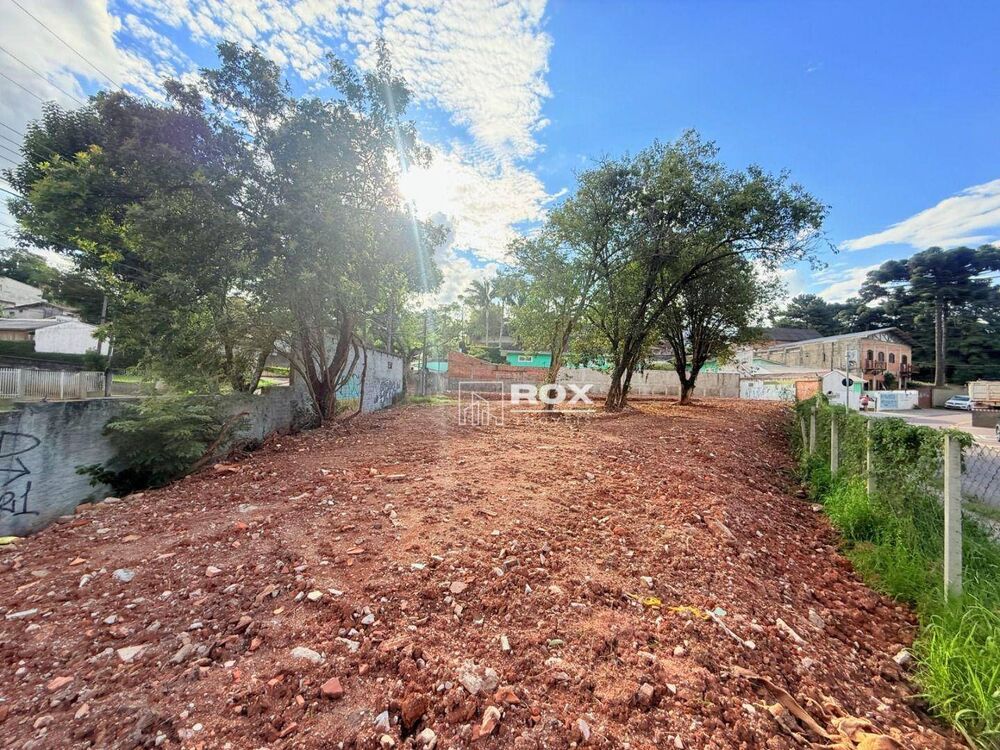 Terreno, 490 m² - Foto 8