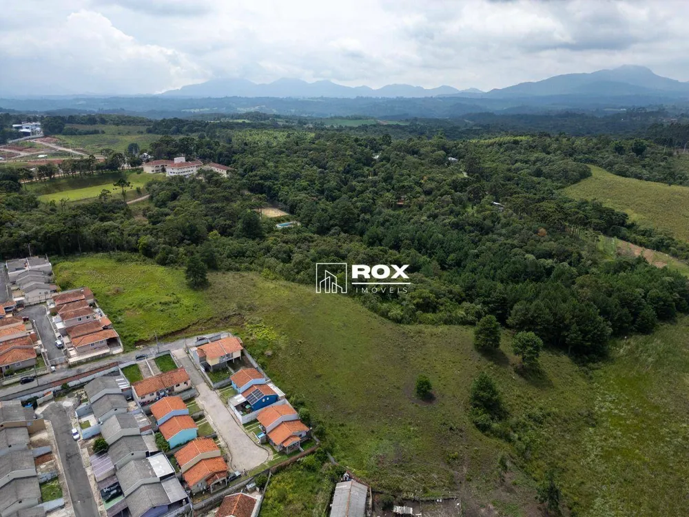 Terreno, 3 hectares - Foto 4