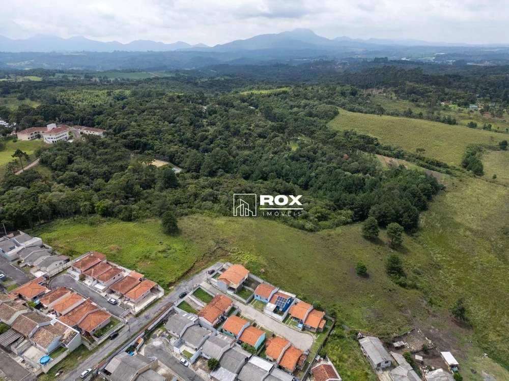 Terreno, 3 hectares - Foto 3