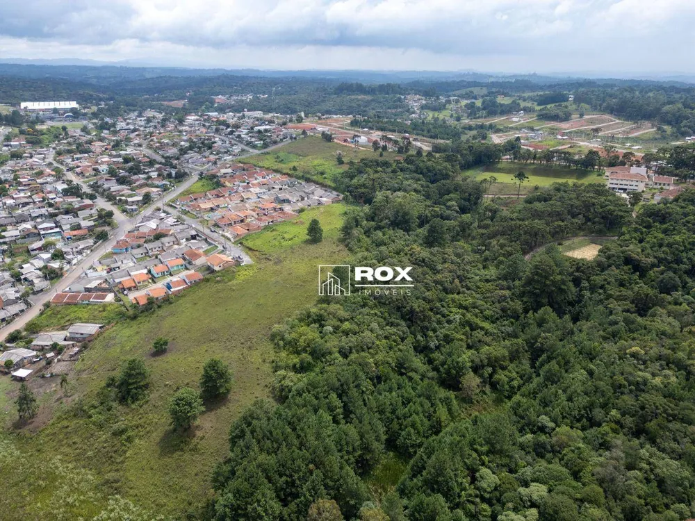 Terreno, 3 hectares - Foto 7