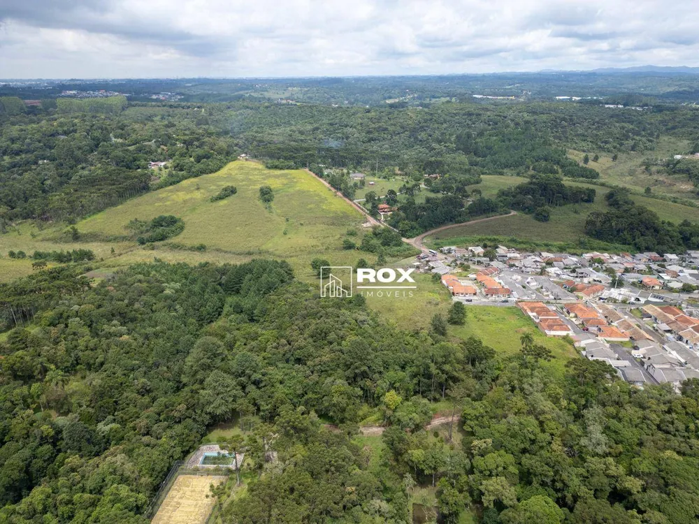 Terreno, 3 hectares - Foto 6