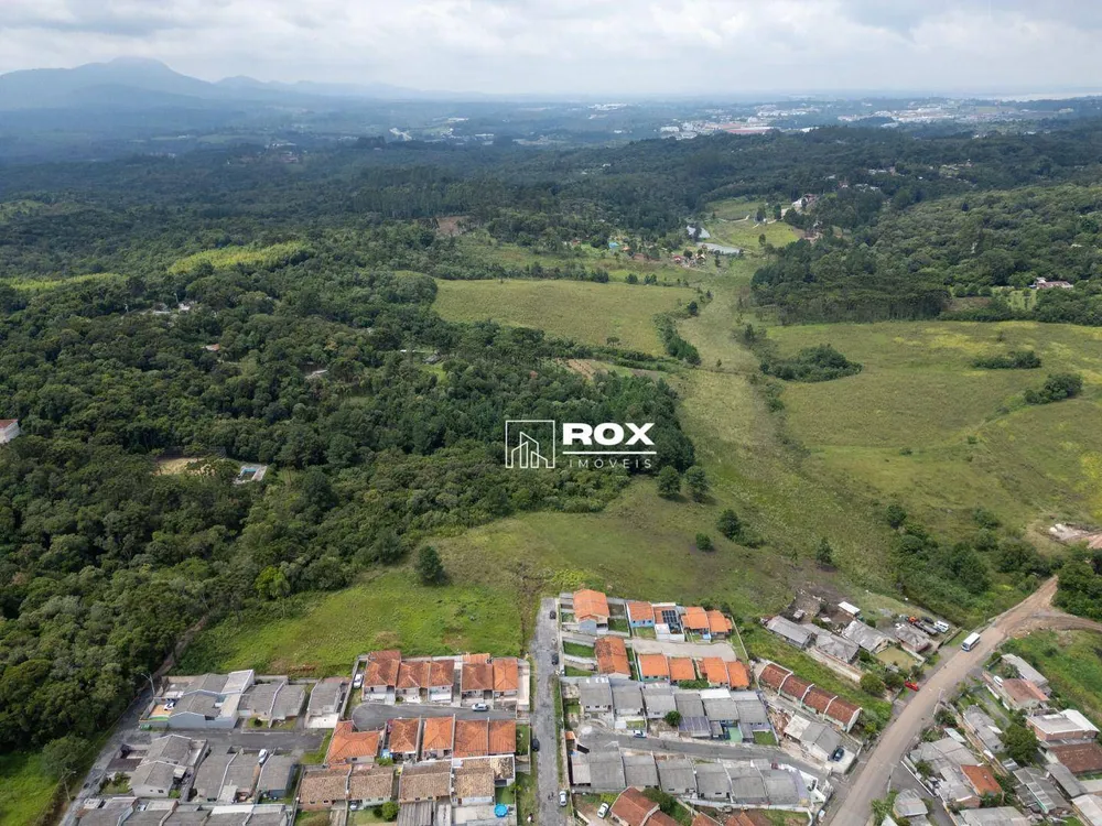 Terreno, 3 hectares - Foto 2