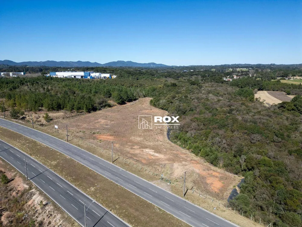 Terreno, 5 hectares - Foto 6