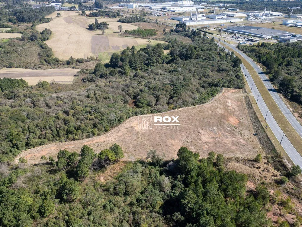 Terreno, 5 hectares - Foto 8