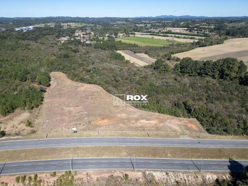 Terreno, 5 hectares - Foto 7