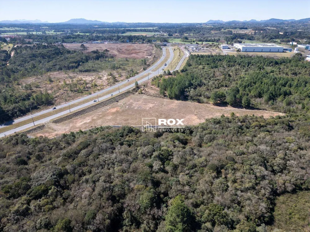 Terreno, 5 hectares - Foto 8
