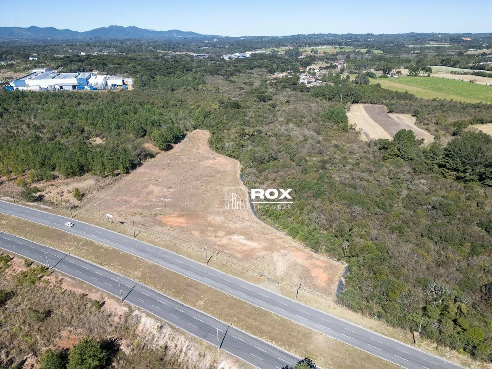 Terreno, 5 hectares - Foto 4