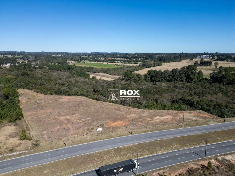 Terreno, 5 hectares - Foto 4