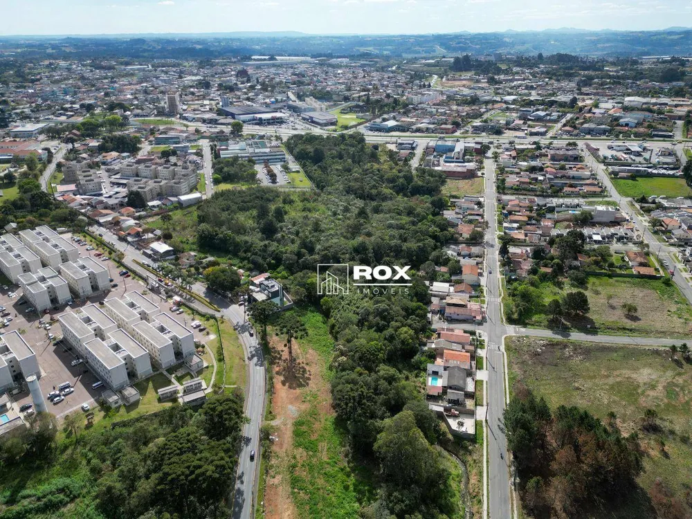 Terreno, 3 hectares - Foto 4