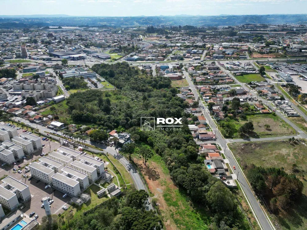Terreno, 3 hectares - Foto 9