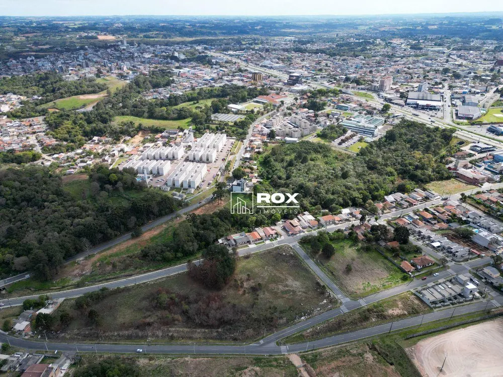 Terreno, 3 hectares - Foto 6