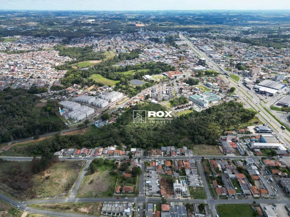 Terreno, 3 hectares - Foto 7