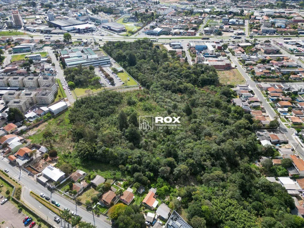 Terreno, 3 hectares - Foto 3