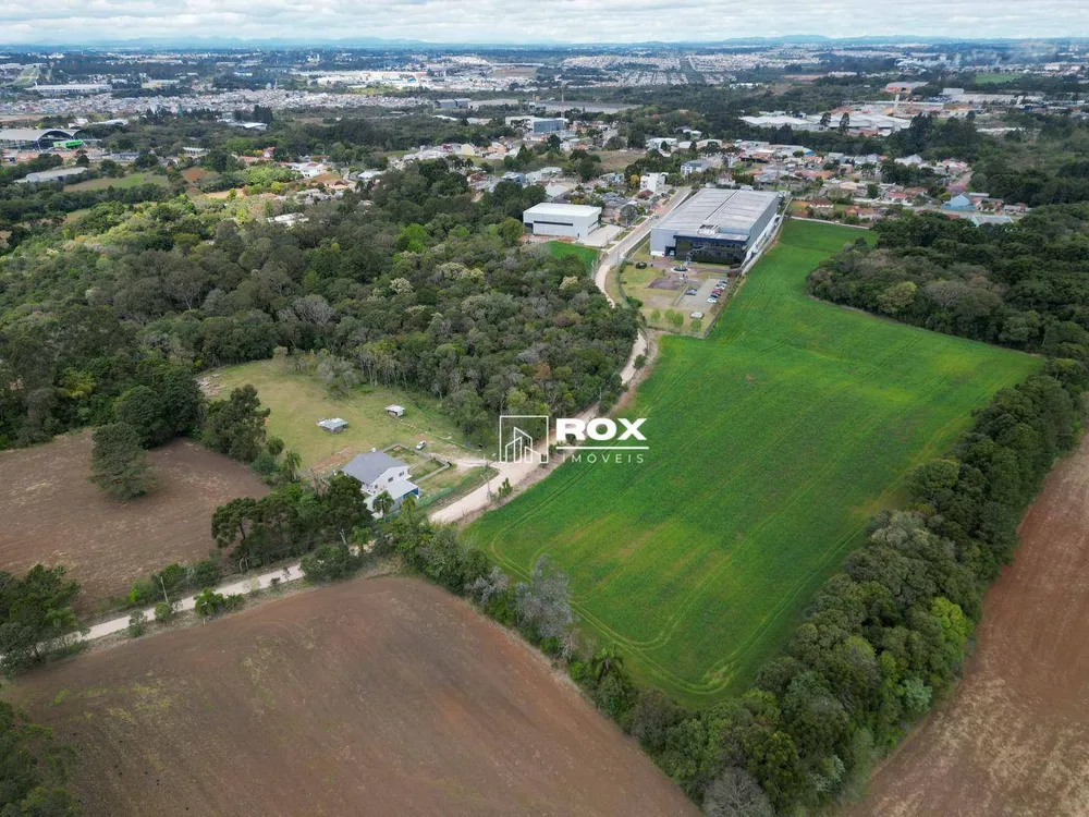 Terreno, 3 hectares - Foto 7