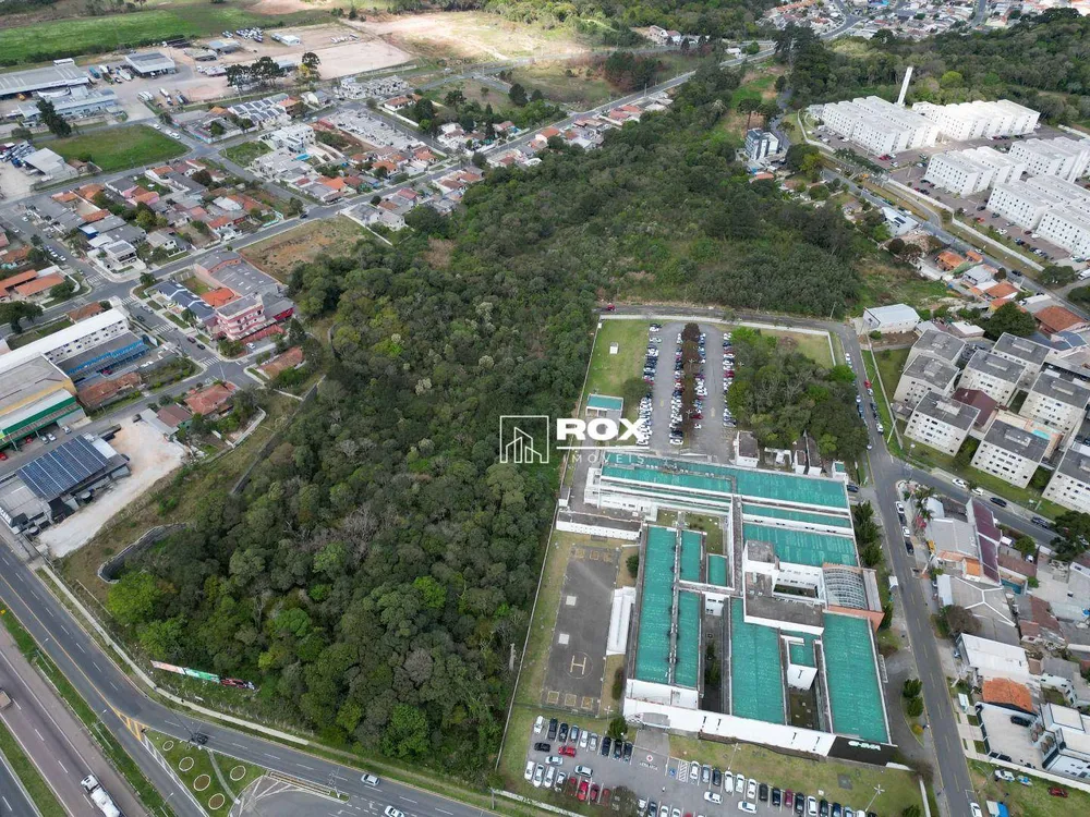 Terreno, 3 hectares - Foto 7