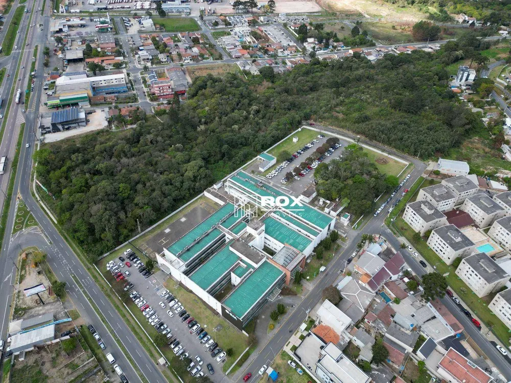 Terreno, 3 hectares - Foto 8