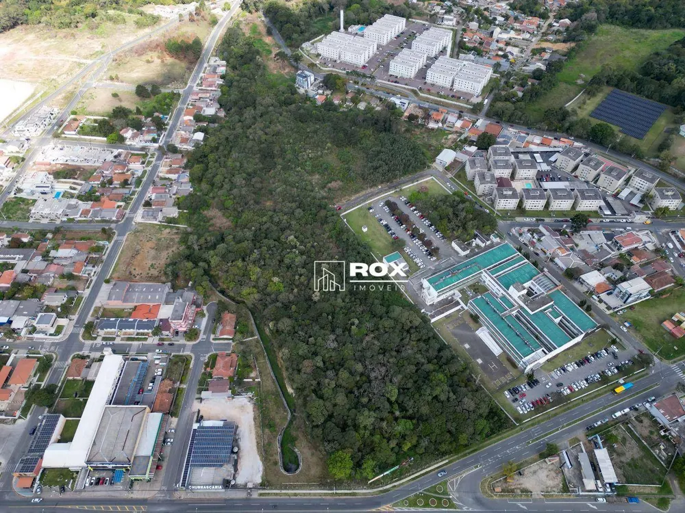 Terreno, 3 hectares - Foto 11