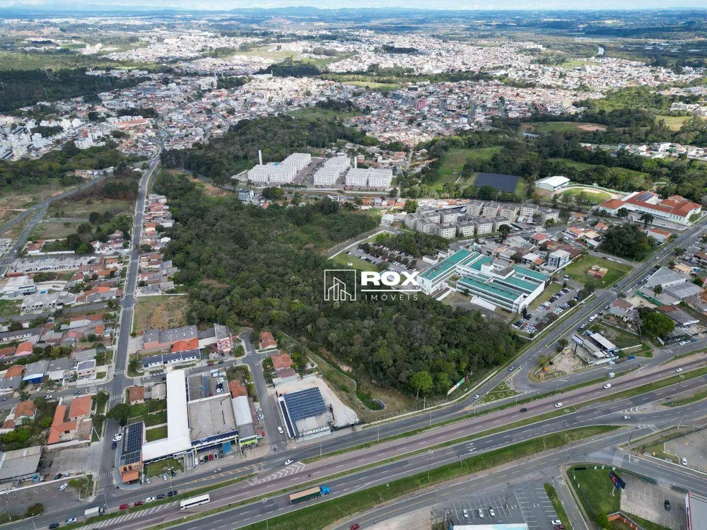 Terreno, 3 hectares - Foto 4