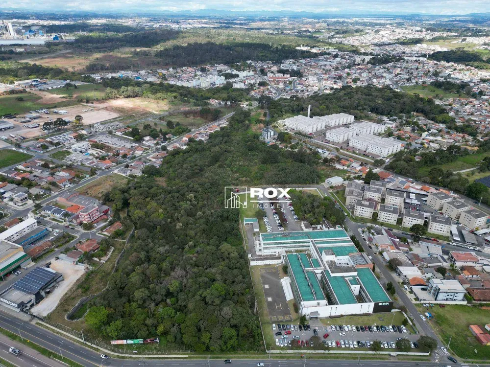 Terreno, 3 hectares - Foto 6