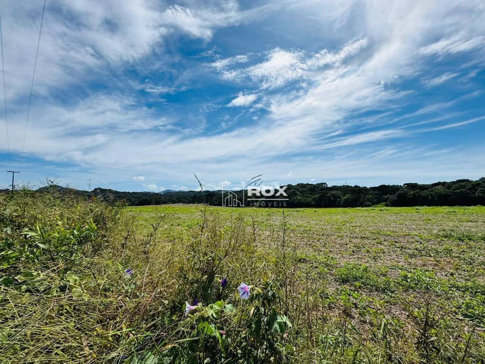 Terreno, 2 hectares - Foto 10