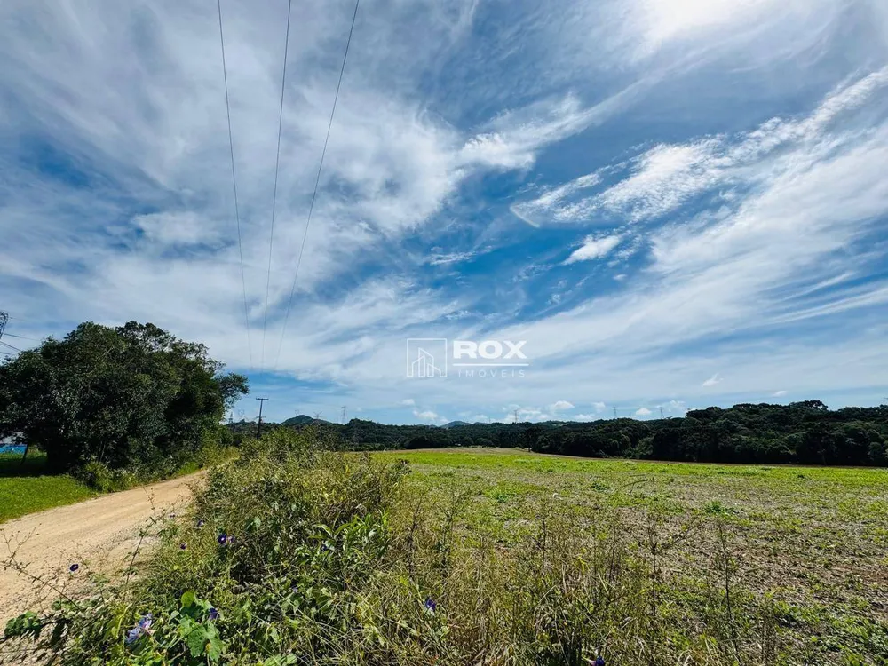 Terreno, 2 hectares - Foto 12