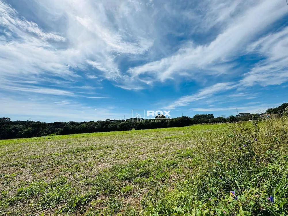 Terreno, 2 hectares - Foto 9