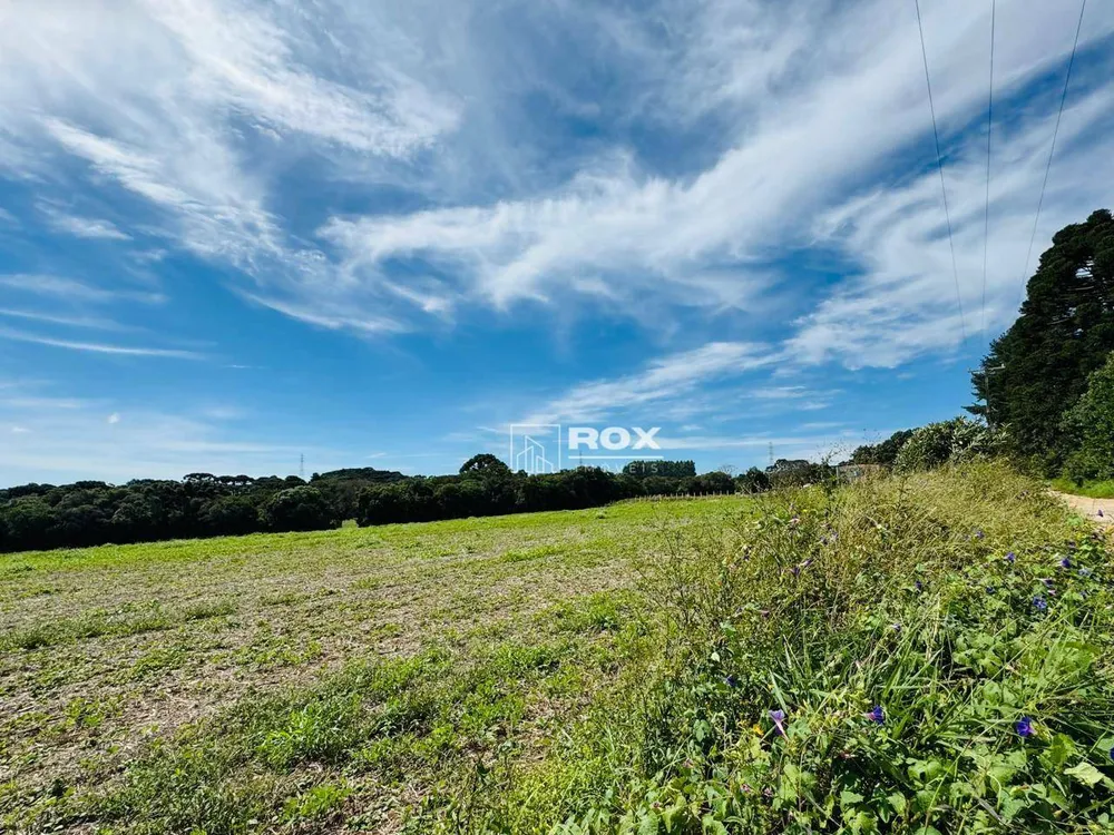Terreno, 2 hectares - Foto 8