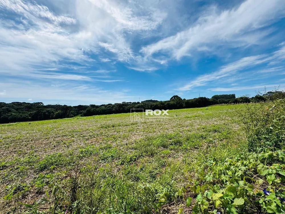 Terreno, 2 hectares - Foto 7
