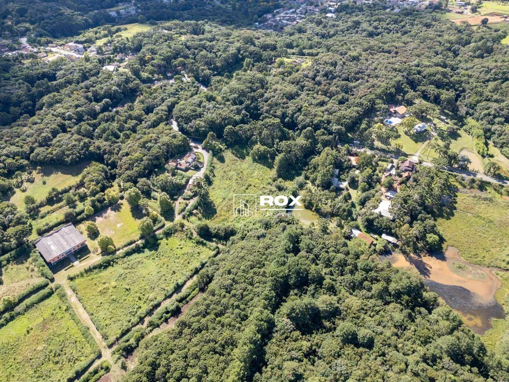 Terreno, 2 hectares - Foto 7