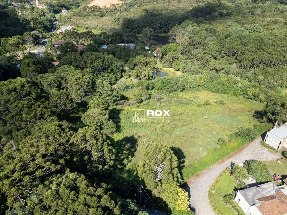 Terreno, 2 hectares - Foto 8