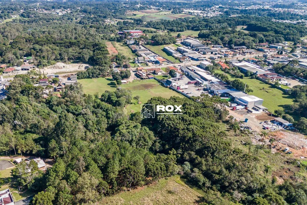 Terreno, 3 hectares - Foto 4