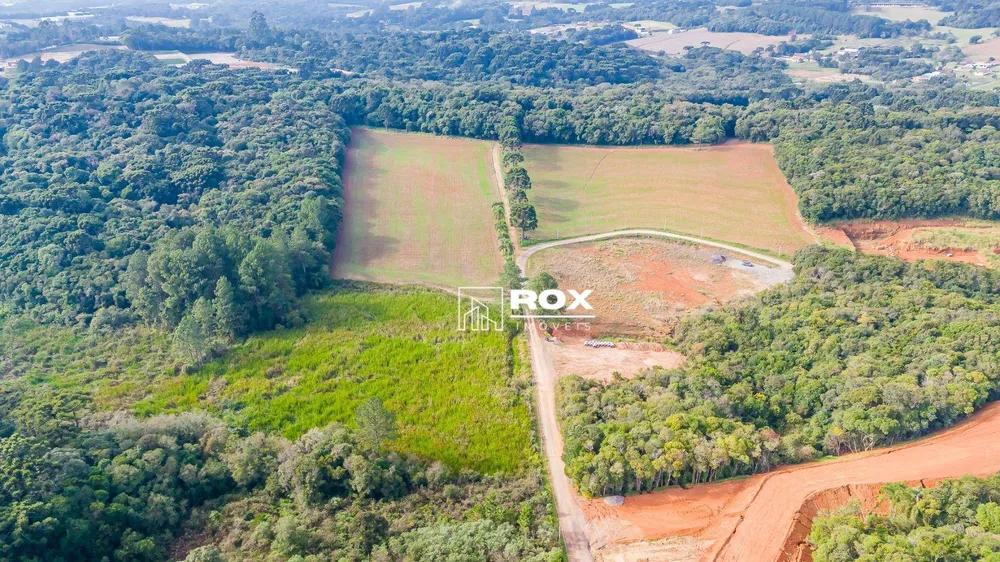 Terreno, 154 hectares - Foto 3