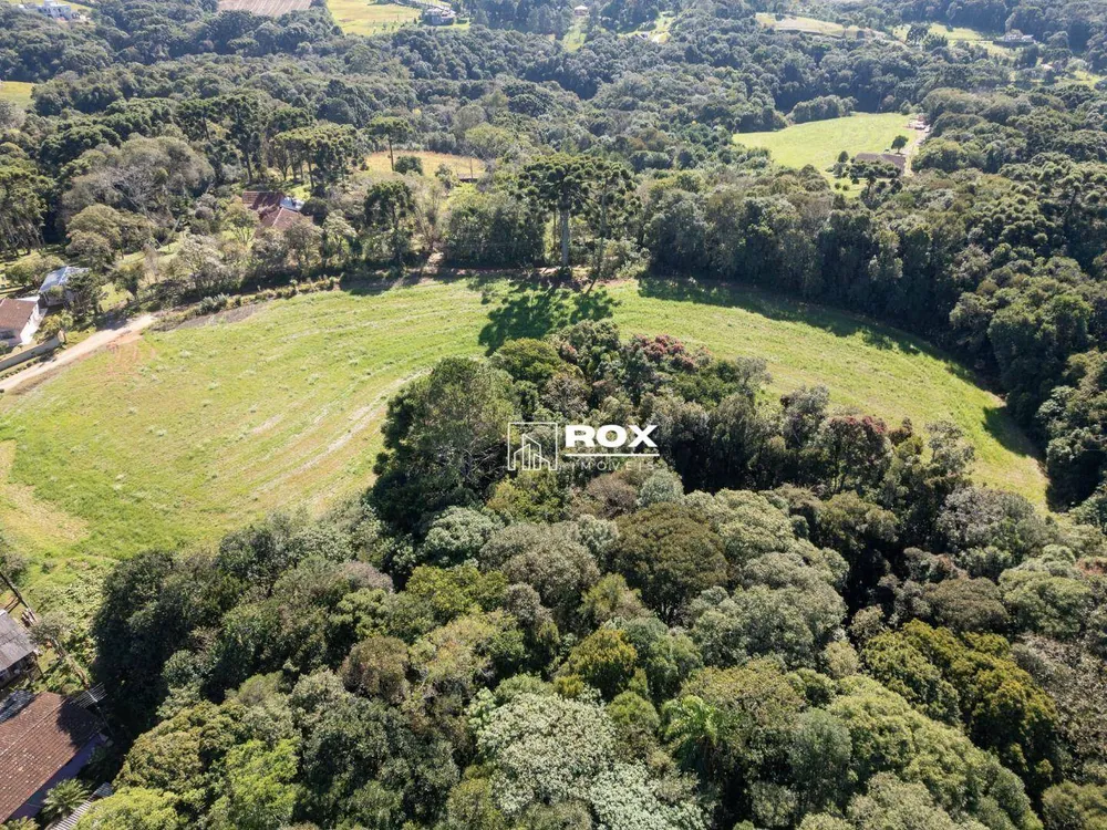 Terreno, 2 hectares - Foto 7