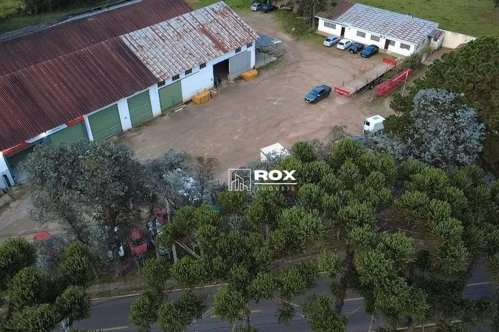 Depósito-Galpão, 4000 m² - Foto 6