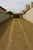Terreno, 150 m² - Foto 1