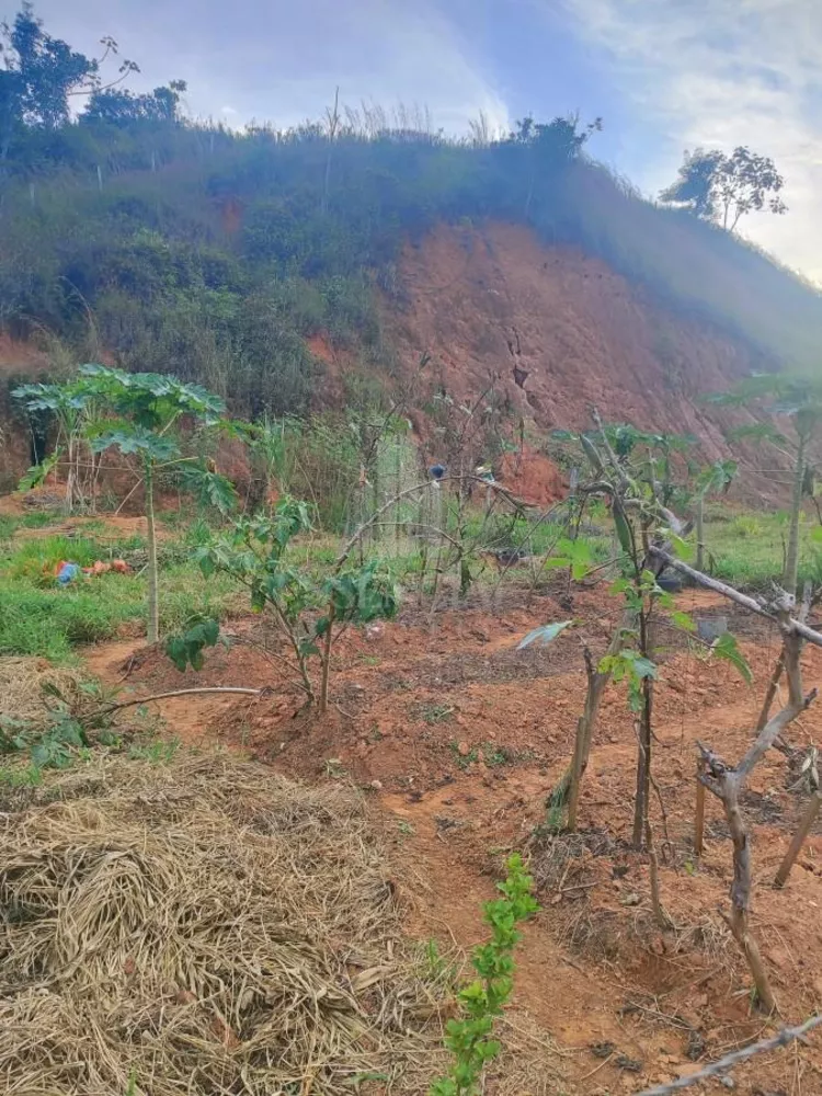 Chácara, 4800 m² - Foto 8