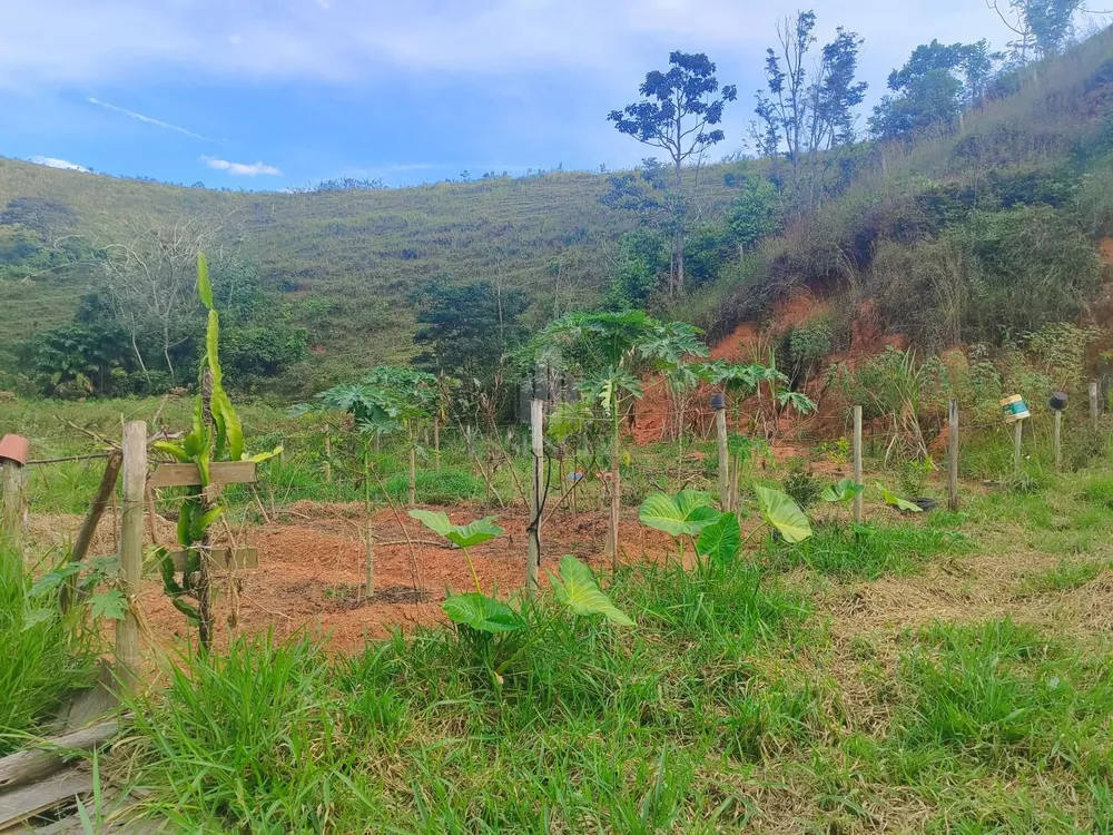 Chácara, 4800 m² - Foto 9