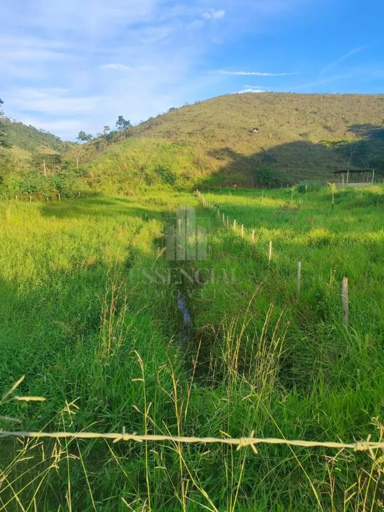 Chácara, 4800 m² - Foto 11