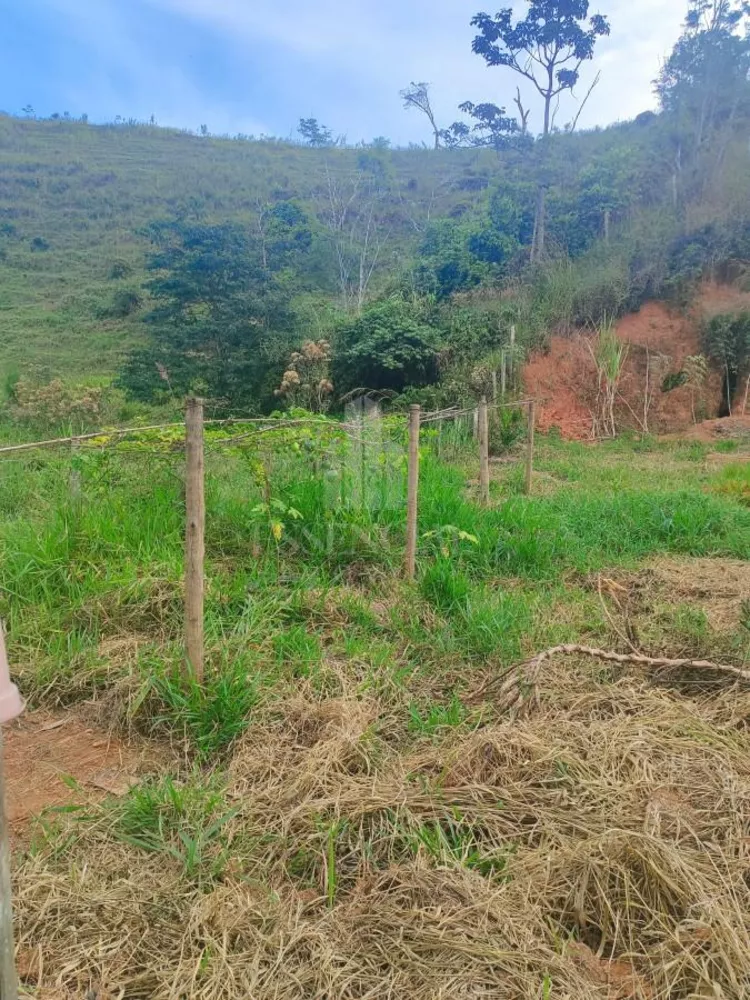 Chácara, 4800 m² - Foto 10