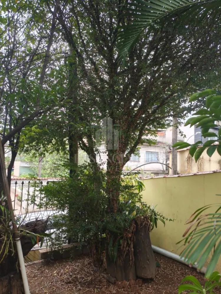 Casa, 4 quartos - Foto 4