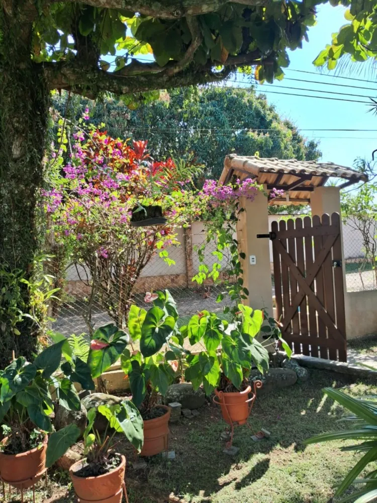 Chácara, 3 quartos, 3000 m² - Foto 4