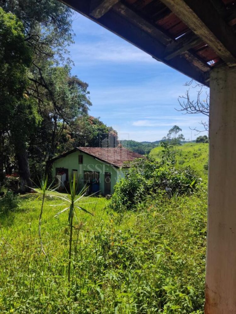 Sítio, 5 quartos, 2 hectares - Foto 1